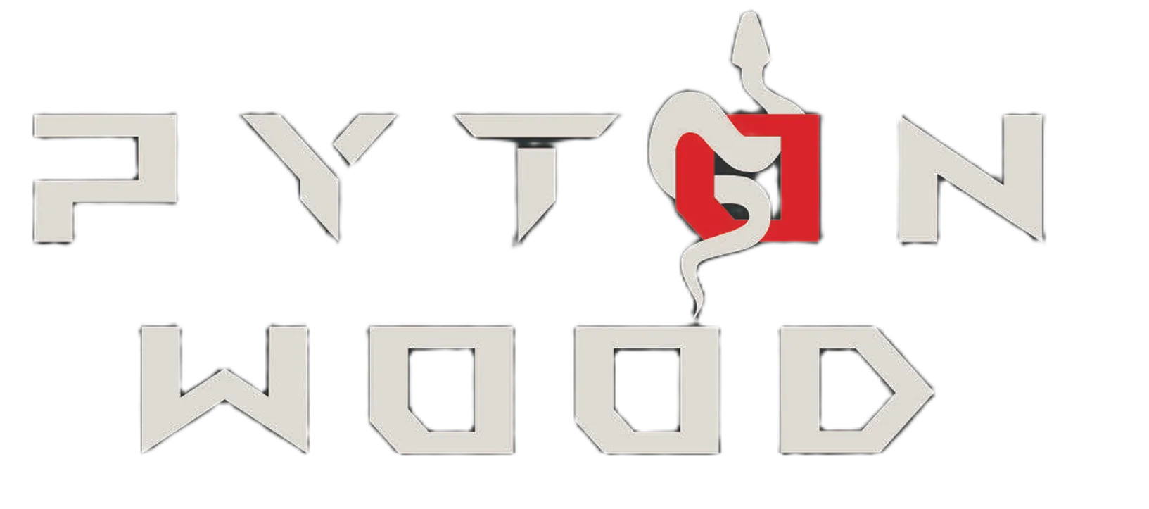 PYTON WOOD – Budowa domów szkieletowych i konstrukcji drewnianych